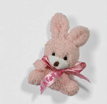 Load image into Gallery viewer, Baby shower – BABY GIRL - pink welcome sign (easel &amp; board) - HIRE ONLY
