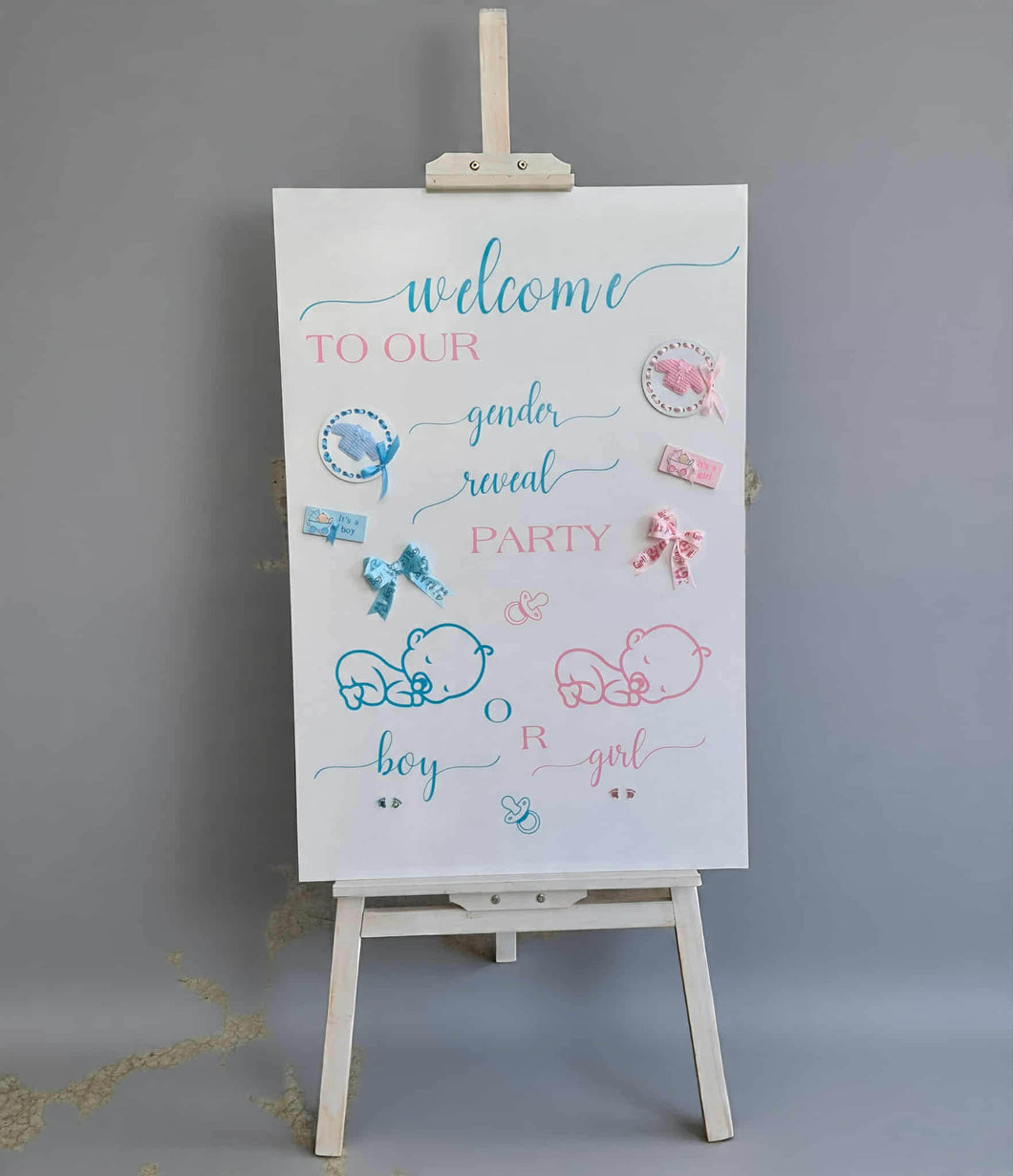Baby shower – GENDER REVEAL – blue / pink welcome sign (easel & board) - HIRE ONLY