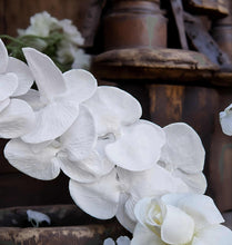 Load image into Gallery viewer, White floor / plinth flowers LARGE – 4 available - HIRE ONLY
