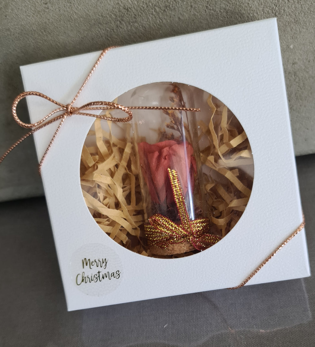 Cute mini preserved rose thumb glass dome Xmas gift