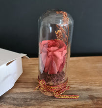 Load image into Gallery viewer, Cute mini preserved rose thumb glass dome Xmas gift
