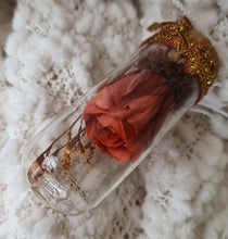 Load image into Gallery viewer, Cute mini preserved rose thumb glass dome Xmas gift

