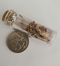 Load image into Gallery viewer, Everlasting flowers jar – Neutral &amp; Gold
