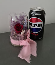 Load image into Gallery viewer, Mini burgundy preserved rose dome with gift box &amp; ribbon - MOT15
