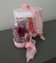Load image into Gallery viewer, Mini burgundy preserved rose dome with gift box &amp; ribbon - MOT15

