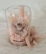 Load image into Gallery viewer, Mini preserved rose nude &amp; blush dome with gift box &amp; ribbon - MOT16
