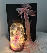 Load image into Gallery viewer, Medium dome w blush rose flowers, gift box &amp; ribbon w lights - MOT18
