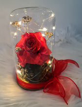 Load image into Gallery viewer, Medium dome red rose and champagne gold + gift box &amp; ribbon w lights - MOT20
