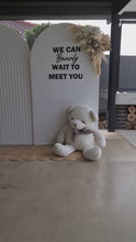 Load and play video in Gallery viewer, Baby shower gender reveal – Advanced Package - HIRE ONLY
