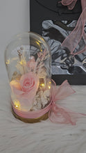 Load and play video in Gallery viewer, Medium glass flower dome nude &amp; blush with preserved rose –  AB2199
