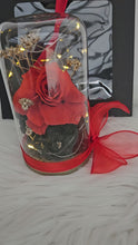Load and play video in Gallery viewer, Medium glass flower dome with reflexed preserved red love rose – AB2201
