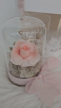 Load and play video in Gallery viewer, Mini glass flower dome w mini preserved blush rose –  AB2198
