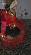 Load and play video in Gallery viewer, Preserved flowers in red, black &amp; champagne gold w lights –  AB2194
