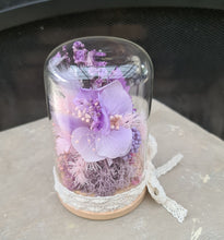 Load image into Gallery viewer, Mini baby dome pastel pink &amp; purple
